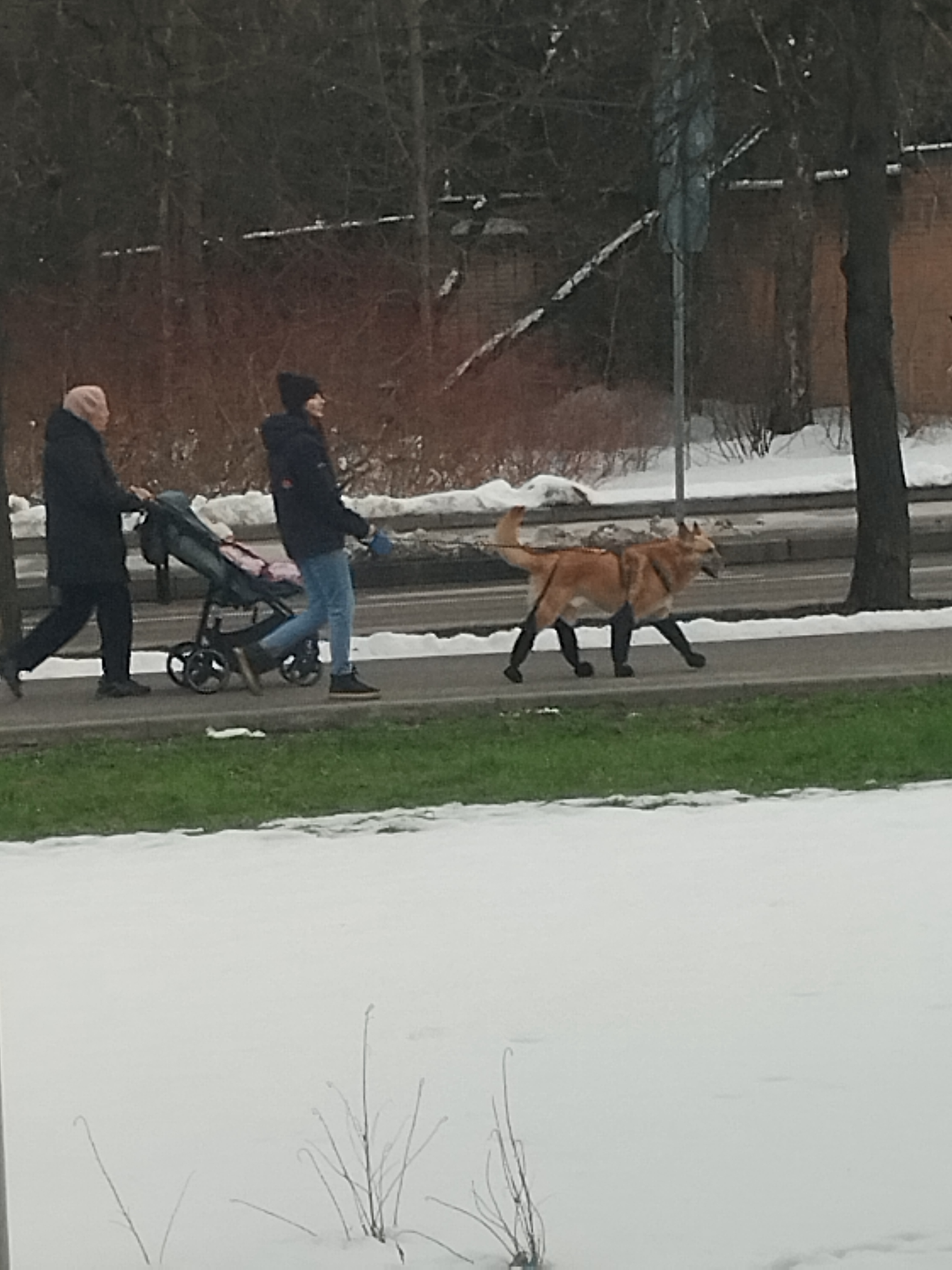 Не известно