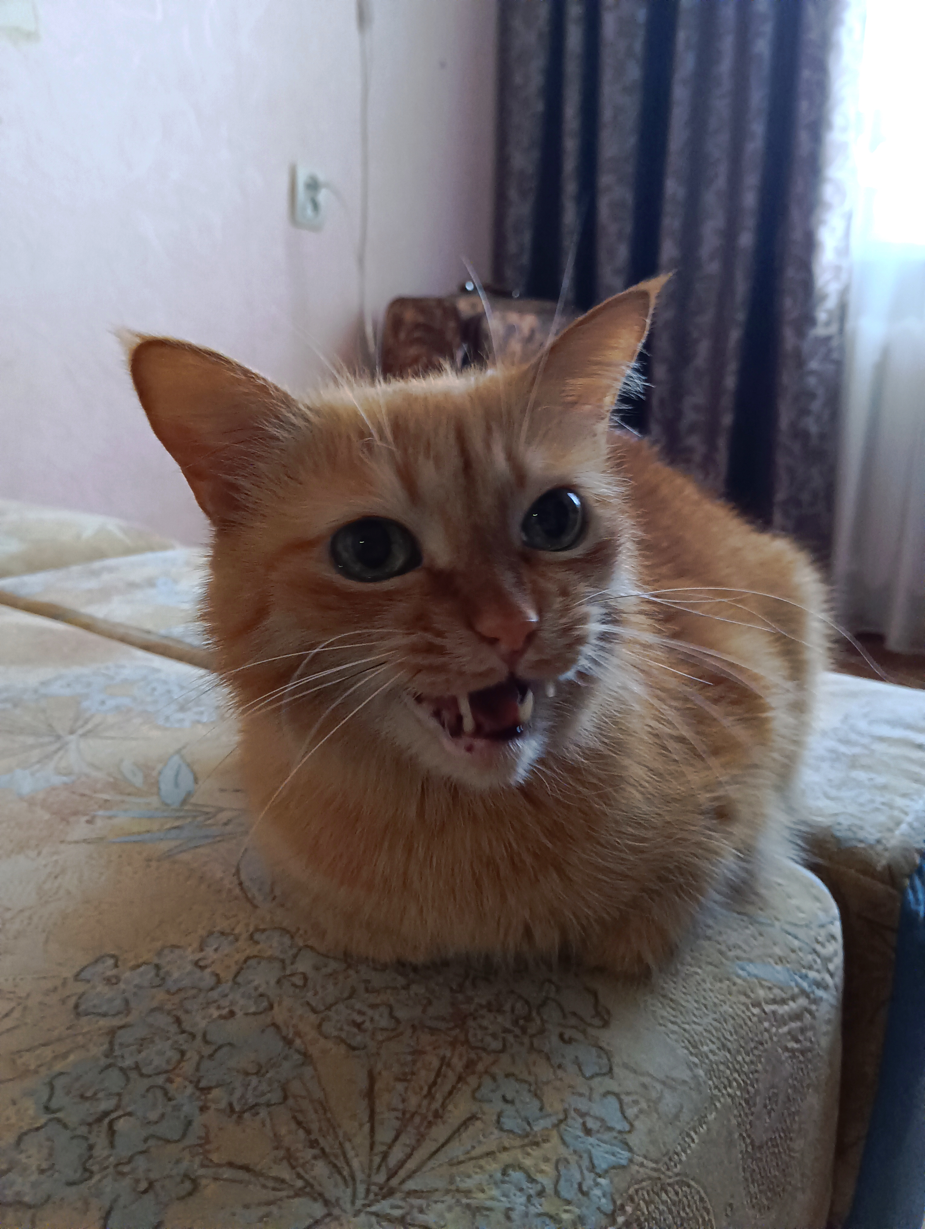 Василий