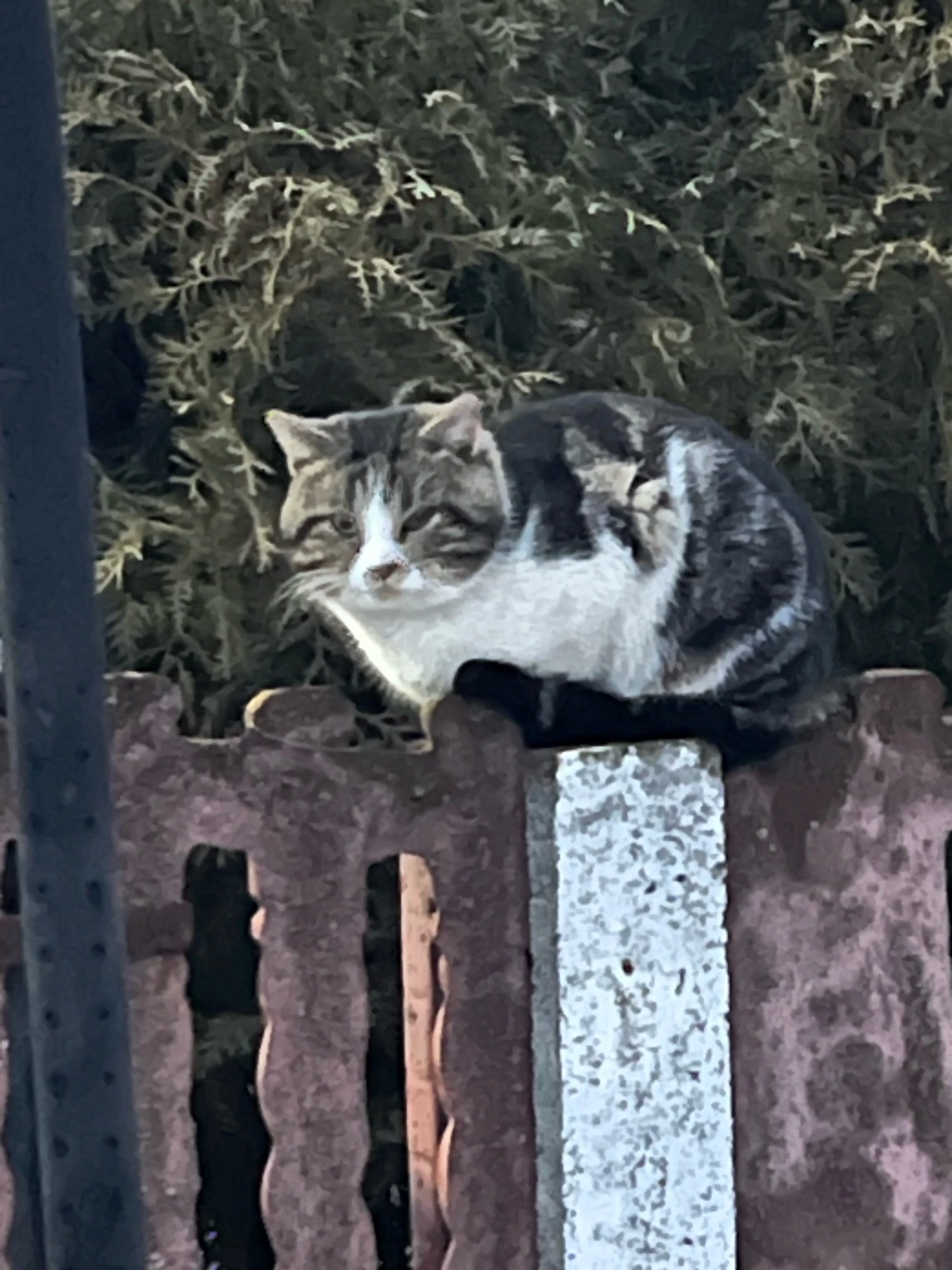 Не известно